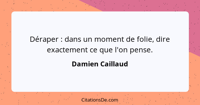 Déraper : dans un moment de folie, dire exactement ce que l'on pense.... - Damien Caillaud