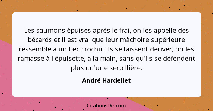 Les saumons épuisés après le frai, on les appelle des bécards et il est vrai que leur mâchoire supérieure ressemble à un bec crochu.... - André Hardellet