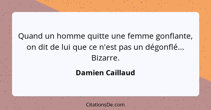 Quand un homme quitte une femme gonflante, on dit de lui que ce n'est pas un dégonflé... Bizarre.... - Damien Caillaud