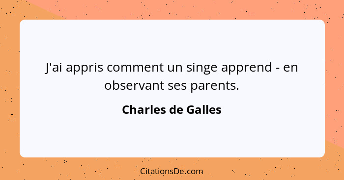 J'ai appris comment un singe apprend - en observant ses parents.... - Charles de Galles