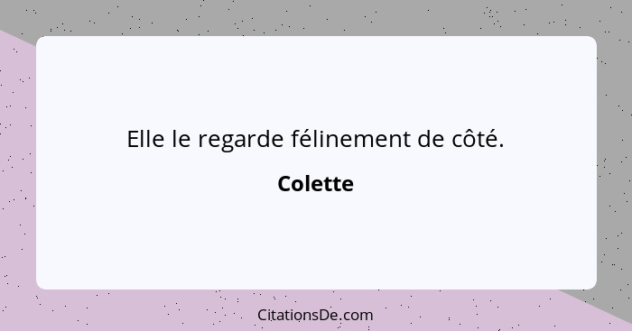 Elle le regarde félinement de côté.... - Colette