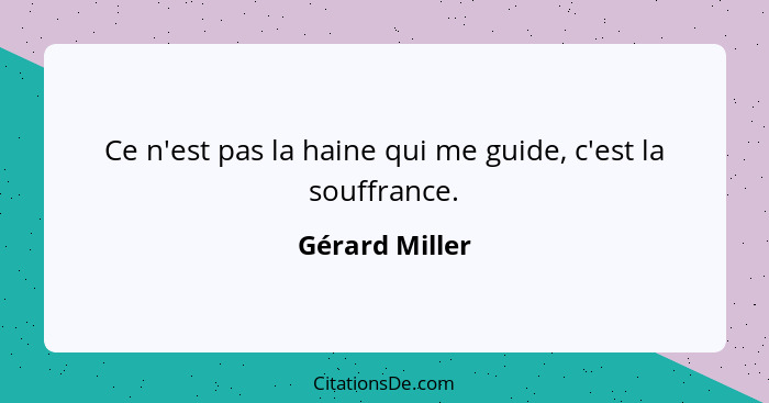 Ce n'est pas la haine qui me guide, c'est la souffrance.... - Gérard Miller