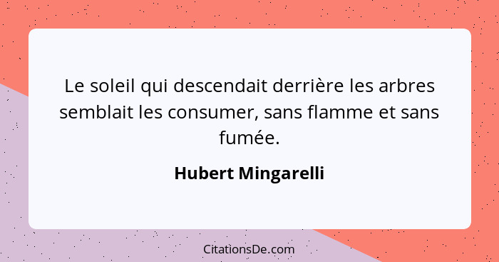 Le soleil qui descendait derrière les arbres semblait les consumer, sans flamme et sans fumée.... - Hubert Mingarelli