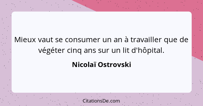 Mieux vaut se consumer un an à travailler que de végéter cinq ans sur un lit d'hôpital.... - Nicolaï Ostrovski