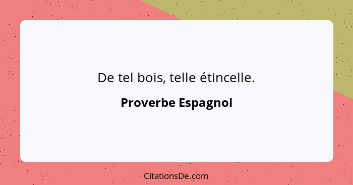 De tel bois, telle étincelle.... - Proverbe Espagnol