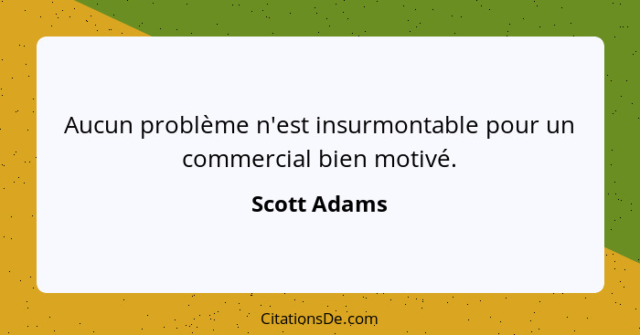 Aucun problème n'est insurmontable pour un commercial bien motivé.... - Scott Adams