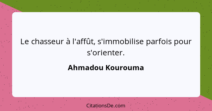 Le chasseur à l'affût, s'immobilise parfois pour s'orienter.... - Ahmadou Kourouma