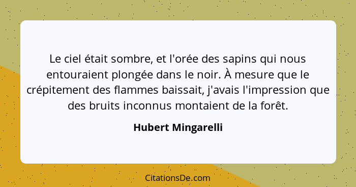 Le ciel était sombre, et l'orée des sapins qui nous entouraient plongée dans le noir. À mesure que le crépitement des flammes bais... - Hubert Mingarelli