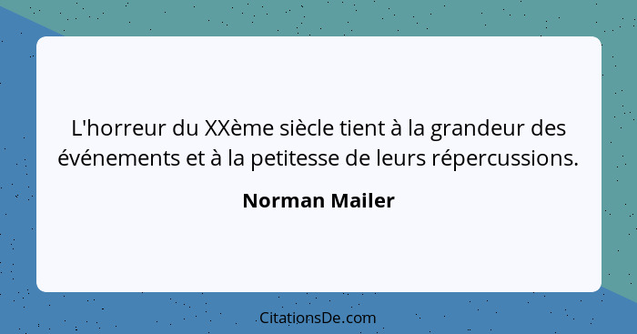 L'horreur du XXème siècle tient à la grandeur des événements et à la petitesse de leurs répercussions.... - Norman Mailer