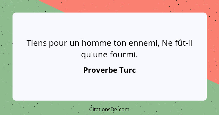 Tiens pour un homme ton ennemi, Ne fût-il qu'une fourmi.... - Proverbe Turc