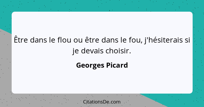 Être dans le flou ou être dans le fou, j'hésiterais si je devais choisir.... - Georges Picard