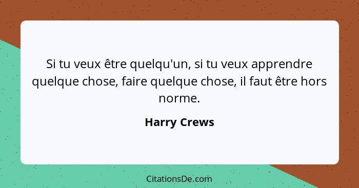 Si tu veux être quelqu'un, si tu veux apprendre quelque chose, faire quelque chose, il faut être hors norme.... - Harry Crews