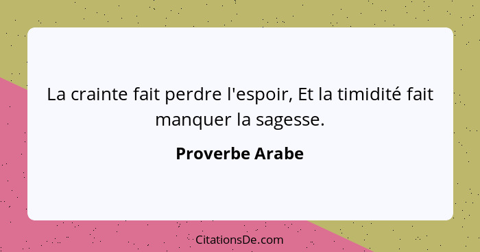 La crainte fait perdre l'espoir, Et la timidité fait manquer la sagesse.... - Proverbe Arabe