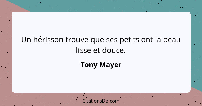 Un hérisson trouve que ses petits ont la peau lisse et douce.... - Tony Mayer