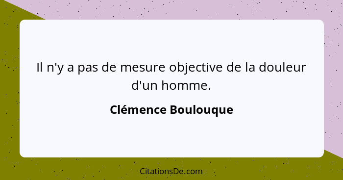 Il n'y a pas de mesure objective de la douleur d'un homme.... - Clémence Boulouque