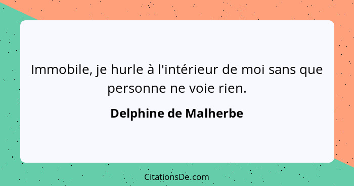 Immobile, je hurle à l'intérieur de moi sans que personne ne voie rien.... - Delphine de Malherbe