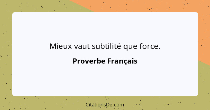 Mieux vaut subtilité que force.... - Proverbe Français