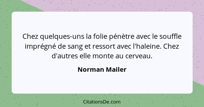 Chez quelques-uns la folie pénètre avec le souffle imprégné de sang et ressort avec l'haleine. Chez d'autres elle monte au cerveau.... - Norman Mailer