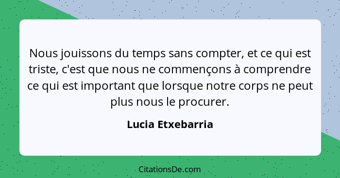 Nous jouissons du temps sans compter, et ce qui est triste, c'est que nous ne commençons à comprendre ce qui est important que lors... - Lucia Etxebarria