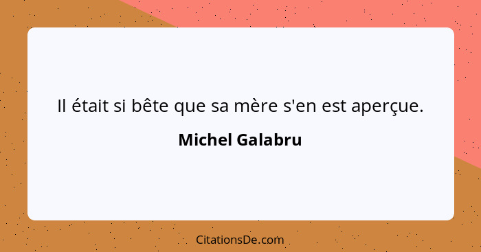 Il était si bête que sa mère s'en est aperçue.... - Michel Galabru