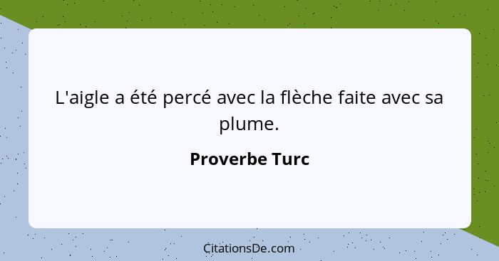 L'aigle a été percé avec la flèche faite avec sa plume.... - Proverbe Turc