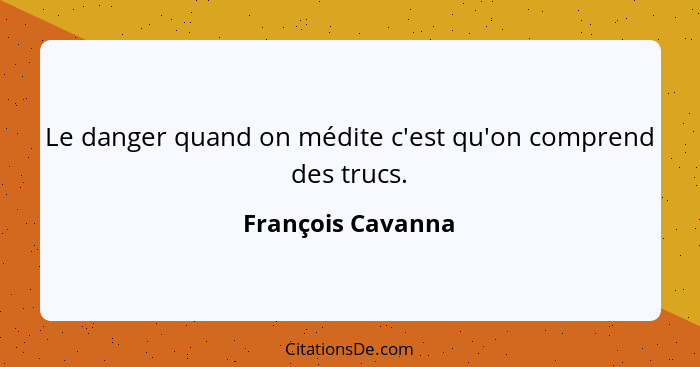 Le danger quand on médite c'est qu'on comprend des trucs.... - François Cavanna