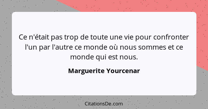 Ce n'était pas trop de toute une vie pour confronter l'un par l'autre ce monde où nous sommes et ce monde qui est nous.... - Marguerite Yourcenar