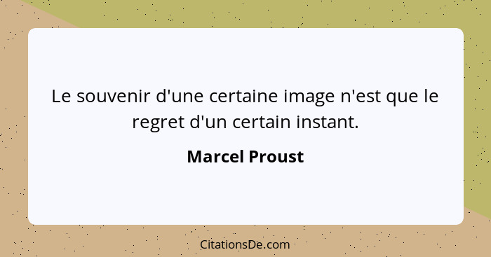 Le souvenir d'une certaine image n'est que le regret d'un certain instant.... - Marcel Proust
