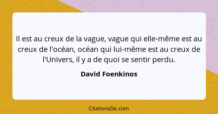 Il est au creux de la vague, vague qui elle-même est au creux de l'océan, océan qui lui-même est au creux de l'Univers, il y a de qu... - David Foenkinos