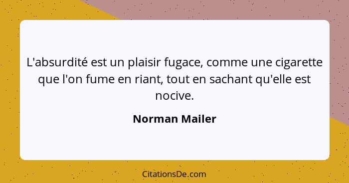 L'absurdité est un plaisir fugace, comme une cigarette que l'on fume en riant, tout en sachant qu'elle est nocive.... - Norman Mailer