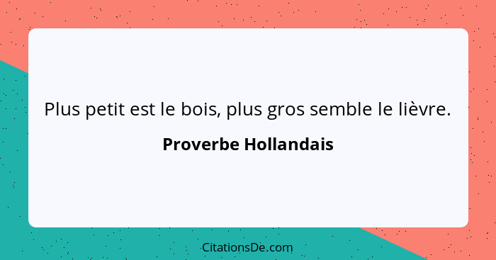 Plus petit est le bois, plus gros semble le lièvre.... - Proverbe Hollandais