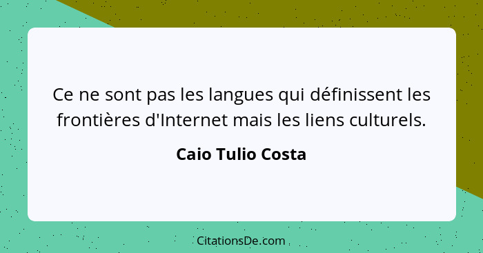 Ce ne sont pas les langues qui définissent les frontières d'Internet mais les liens culturels.... - Caio Tulio Costa