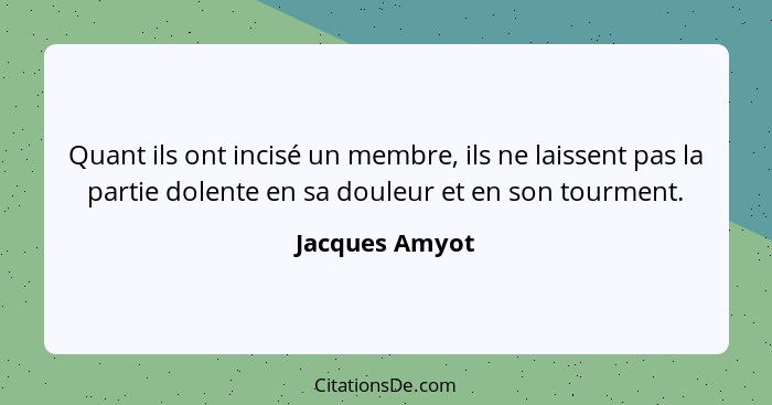 Quant ils ont incisé un membre, ils ne laissent pas la partie dolente en sa douleur et en son tourment.... - Jacques Amyot