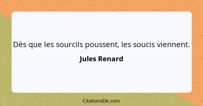 Dès que les sourcils poussent, les soucis viennent.... - Jules Renard