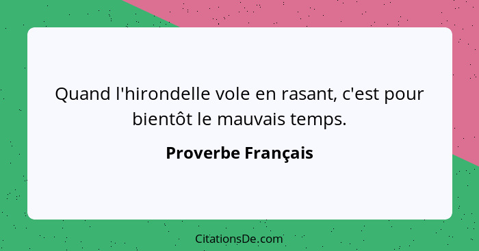 Quand l'hirondelle vole en rasant, c'est pour bientôt le mauvais temps.... - Proverbe Français