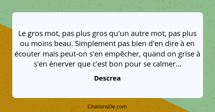 Le gros mot, pas plus gros qu'un autre mot, pas plus ou moins beau. Simplement pas bien d'en dire à en écouter mais peut-on s'en empêcher, q... - Descrea