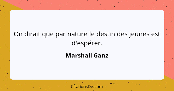 On dirait que par nature le destin des jeunes est d'espérer.... - Marshall Ganz