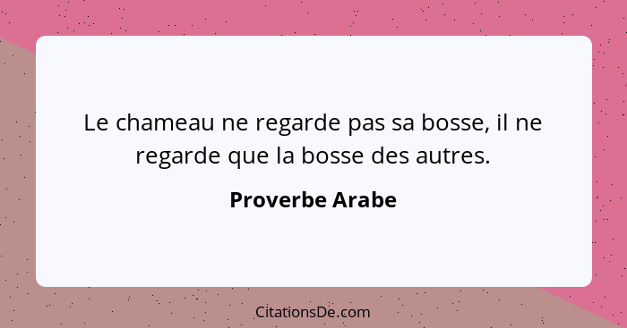 Le chameau ne regarde pas sa bosse, il ne regarde que la bosse des autres.... - Proverbe Arabe