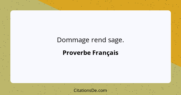 Dommage rend sage.... - Proverbe Français