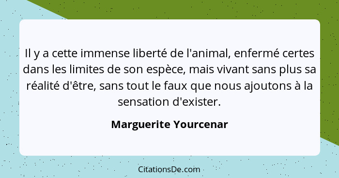 Il y a cette immense liberté de l'animal, enfermé certes dans les limites de son espèce, mais vivant sans plus sa réalité d'êtr... - Marguerite Yourcenar