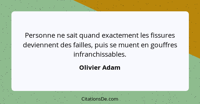 Personne ne sait quand exactement les fissures deviennent des failles, puis se muent en gouffres infranchissables.... - Olivier Adam