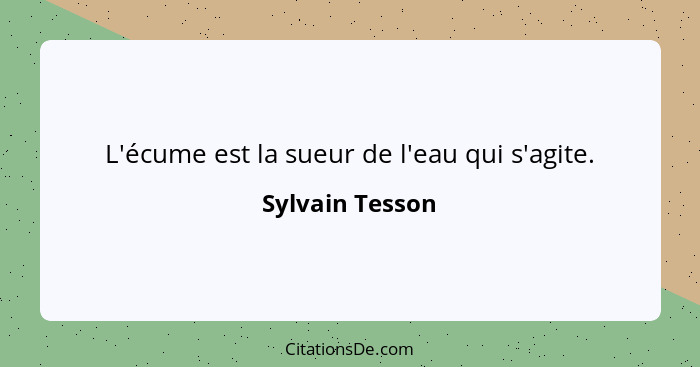 L'écume est la sueur de l'eau qui s'agite.... - Sylvain Tesson