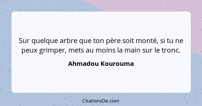 Sur quelque arbre que ton père soit monté, si tu ne peux grimper, mets au moins la main sur le tronc.... - Ahmadou Kourouma