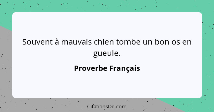 Souvent à mauvais chien tombe un bon os en gueule.... - Proverbe Français