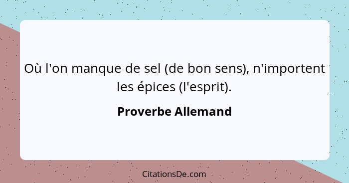 Où l'on manque de sel (de bon sens), n'importent les épices (l'esprit).... - Proverbe Allemand