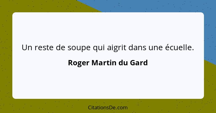 Un reste de soupe qui aigrit dans une écuelle.... - Roger Martin du Gard