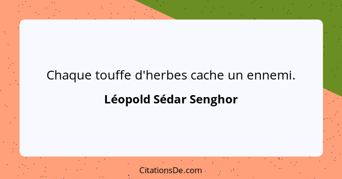 Chaque touffe d'herbes cache un ennemi.... - Léopold Sédar Senghor