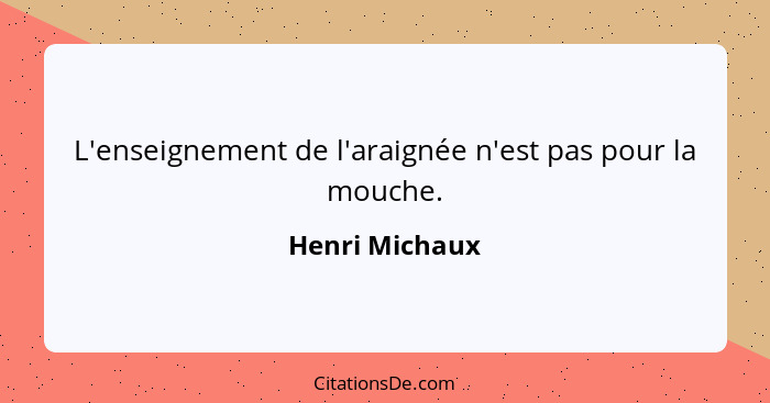 L'enseignement de l'araignée n'est pas pour la mouche.... - Henri Michaux