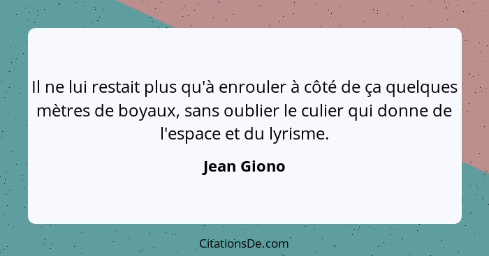 Il ne lui restait plus qu'à enrouler à côté de ça quelques mètres de boyaux, sans oublier le culier qui donne de l'espace et du lyrisme.... - Jean Giono