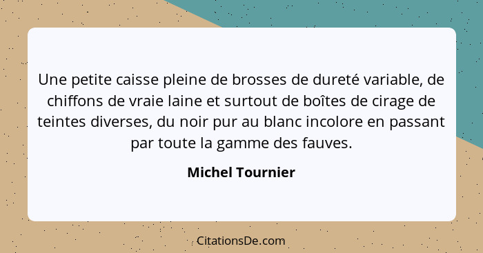 Une petite caisse pleine de brosses de dureté variable, de chiffons de vraie laine et surtout de boîtes de cirage de teintes diverse... - Michel Tournier